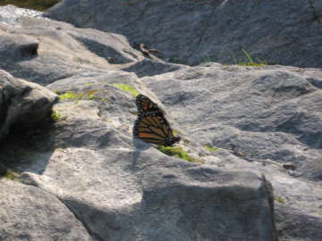 Quechee Gorge. Photo by Tom Keating, September 17, 2006